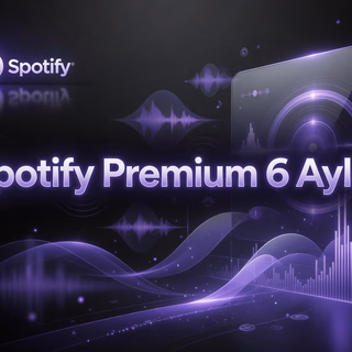 Spotify 6 aylıq