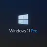 Windows 10/11 Pro lisenziyası