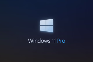 Windows 10/11 Pro lisenziyası