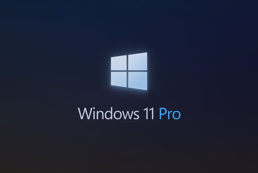 Windows 10/11 Pro 5 kompüter